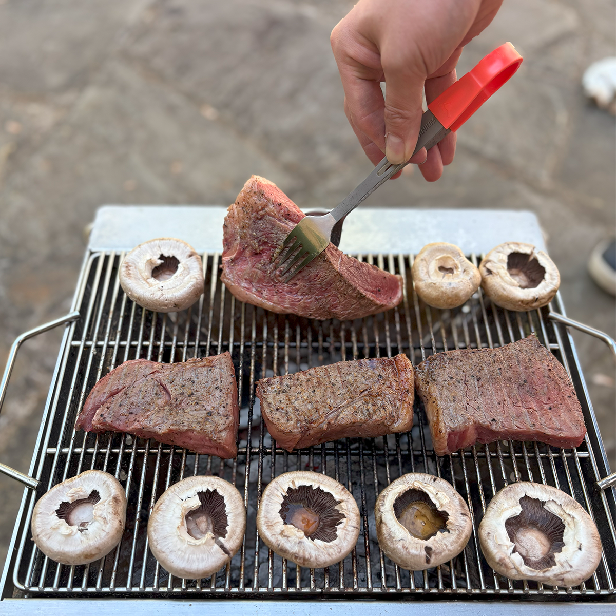 TOAKS Portable Grill